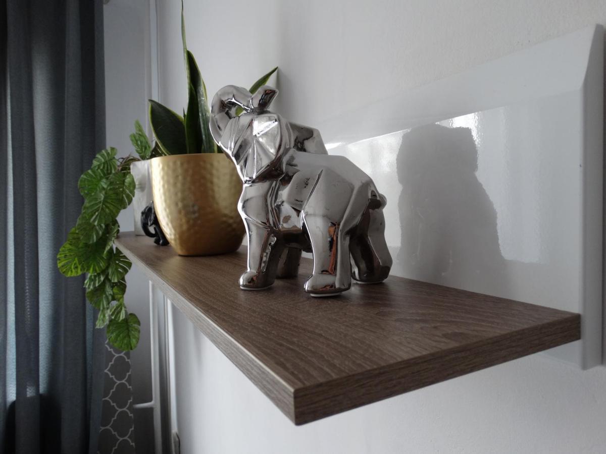 Sienkiewicza Apartament Multi House Rzeszow Dış mekan fotoğraf