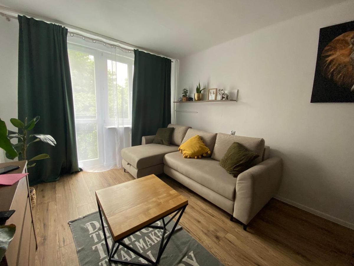 Sienkiewicza Apartament Multi House Rzeszow Dış mekan fotoğraf