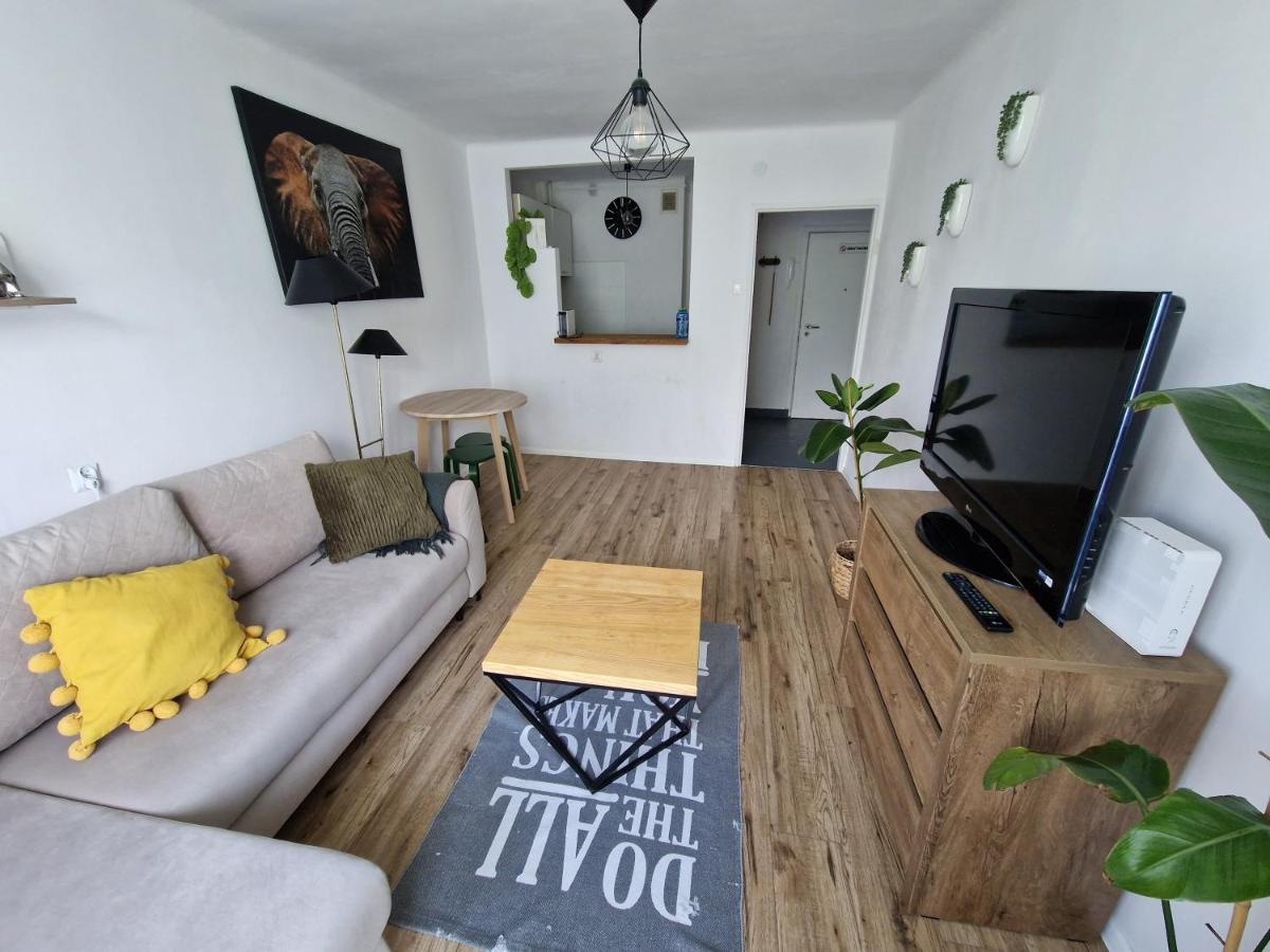 Sienkiewicza Apartament Multi House Rzeszow Dış mekan fotoğraf