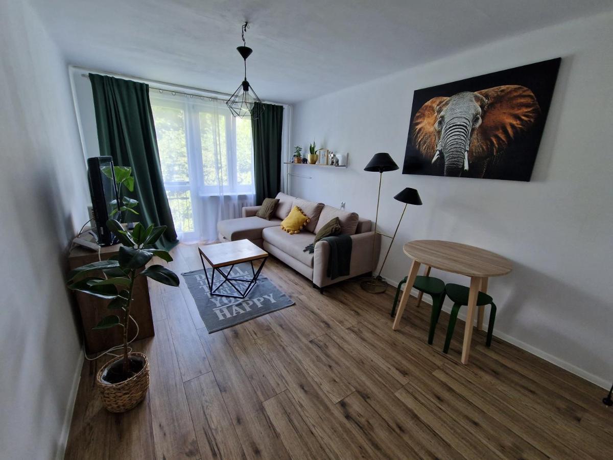 Sienkiewicza Apartament Multi House Rzeszow Dış mekan fotoğraf