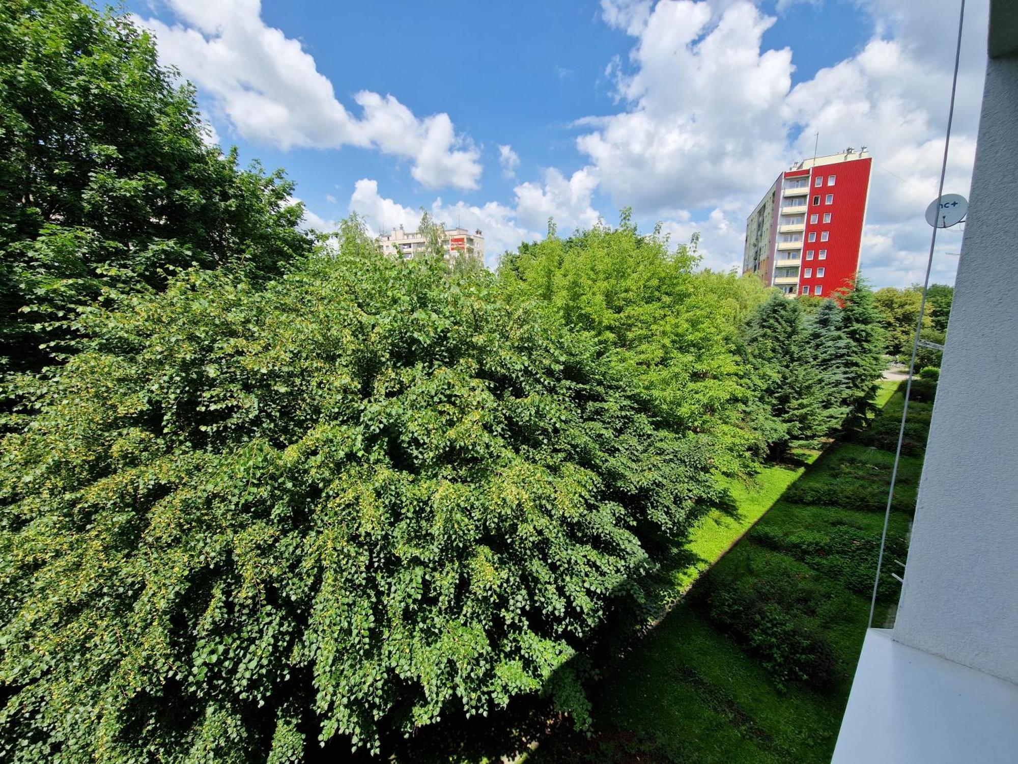 Sienkiewicza Apartament Multi House Rzeszow Dış mekan fotoğraf